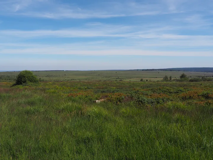 Signal de Botrange (Belgium)